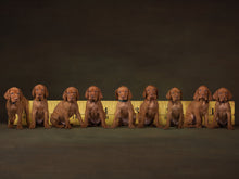 Load image into Gallery viewer, 36 feet of vizsla Puppies  - Jason Allison Photography