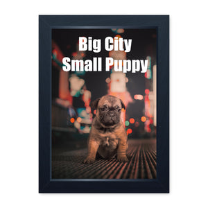 Big City Small Puppy, Framed Print