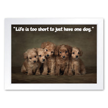 Load image into Gallery viewer, Life is Too Short To Just Have One Dog, Framed Print