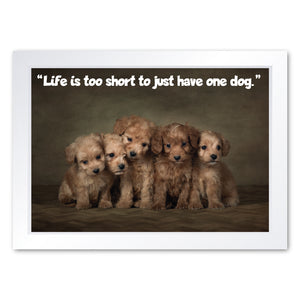 Life is Too Short To Just Have One Dog, Framed Print
