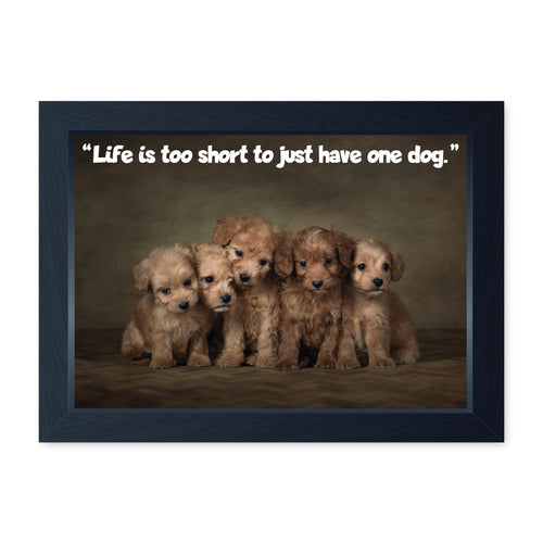 Life is Too Short To Just Have One Dog, Framed Print
