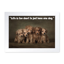 Load image into Gallery viewer, Life is Too Short To Just Have One Dog, Framed Print