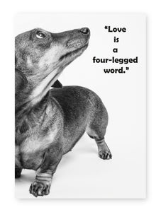 Love Is A Four Legged Word, Framed Print