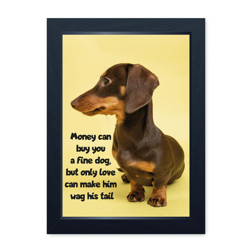 Money Can Buy You A Fine Dog, Framed Print
