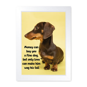 Money Can Buy You A Fine Dog, Framed Print