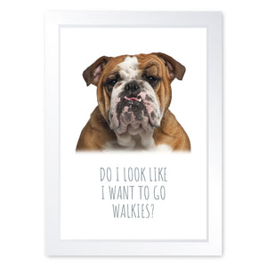 Walkies, Framed Dog Print