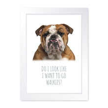 Load image into Gallery viewer, Walkies, Framed Dog Print