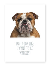Load image into Gallery viewer, Walkies, Framed Dog Print