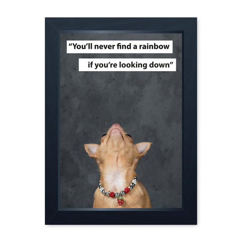 You'll Never Find A Rainbow If You're Looking Down, Chihuahua, Framed Print