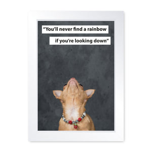 You'll Never Find A Rainbow If You're Looking Down, Chihuahua, Framed Print